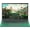 Green, variant on Rumtuk 16" Green Laptop, DDR4 16GB RAM, 1TB SSD, Win 11 Pro/Office 2019, Celeron N5105 CPU, FHD IPS Display, Backlit KB, Fingerprint, USB 3.0, HDMI, WiFi/BT, PC Notebook for Work, Study