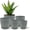 Gray, variant on Campior Plastic Plant Pots with Drainage, Stackable Design for Indoor/Outdoor Use, Pack of 5, Black