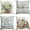 Summer, variant on Bless Our Home Eucalyptus Leaves Starfish Throw Pillow Covers, 18 x 18 Inch Seasonal Spring Summer Truck Home Sweet Home Cushion Case Decorations Set of 4