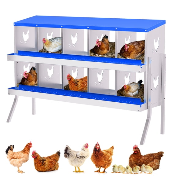 10 Compartment Chicken Nesting Box with Stand - Wall-Mounted or Floor-Standing Hen Nest with Egg Collection Tray, Sturdy Poultry Laying Box for Multiple Hens