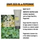 thumbnail image 4 of Gel de peinado KMS Hairplay 200 ml, 4 of 7