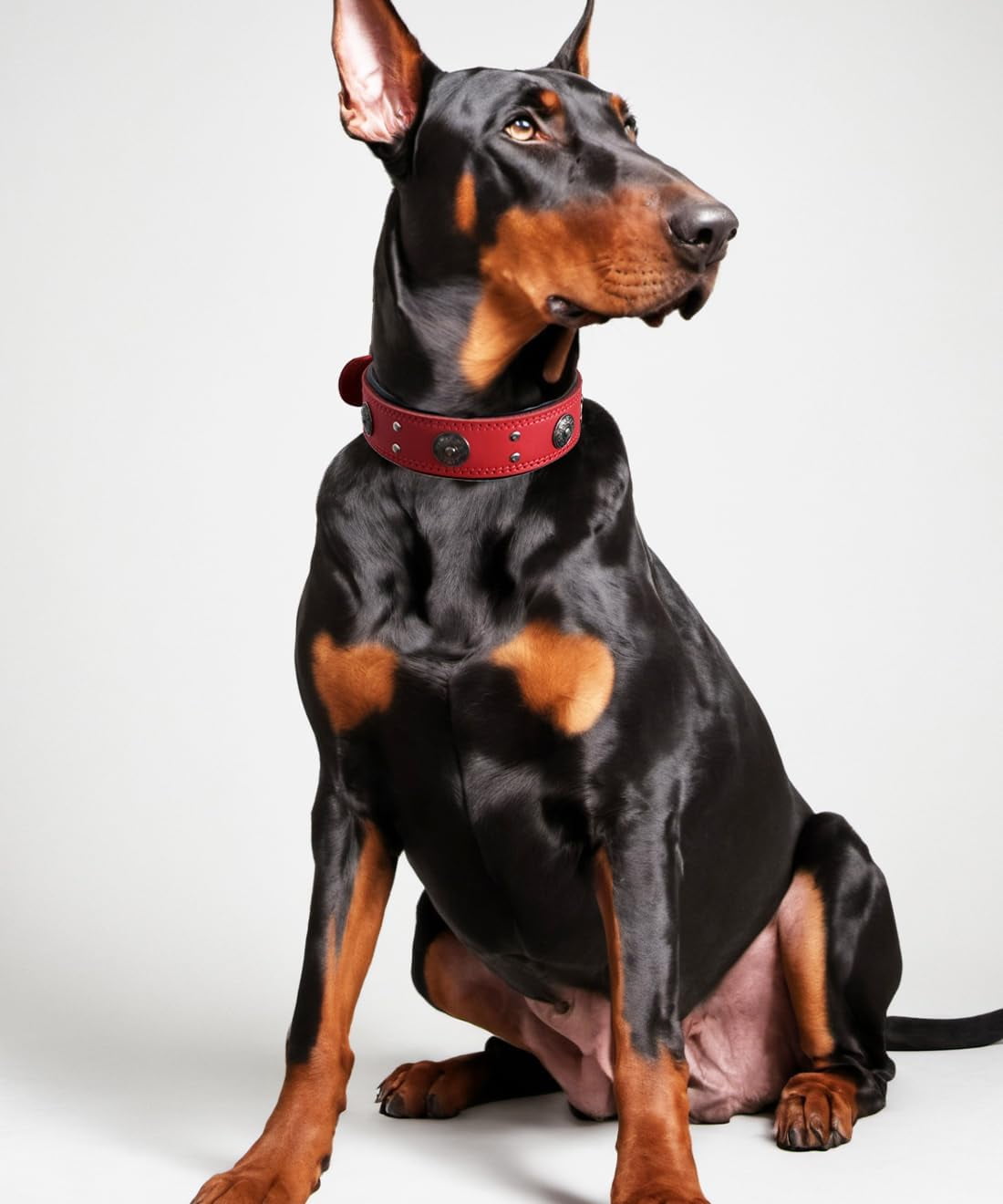 TJOUL Leather Dog Collar, 2 inches Wide Heavy Duty Genuine Leather Collars, Handmade, Soft, and Luxury, Eye-catching Best Choice for Large and Medium Breed Dogs 22.5-26.5 inches