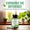 thumbnail image 5 of Healthy Way SAM-e Supplement for Brain Health, Liver, Mood & Joint Support, 1500mg, 90 Capsules, 5 of 9