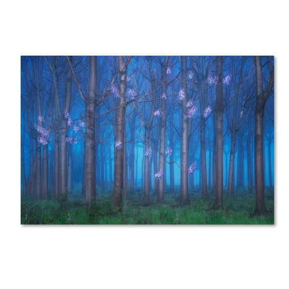 Jingshu Zhu 'Fairyland' Canvas Art