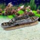 thumbnail image 3 of Décoration d'aquarium représentant un bateau naufragé du Titanic, 3 of 4