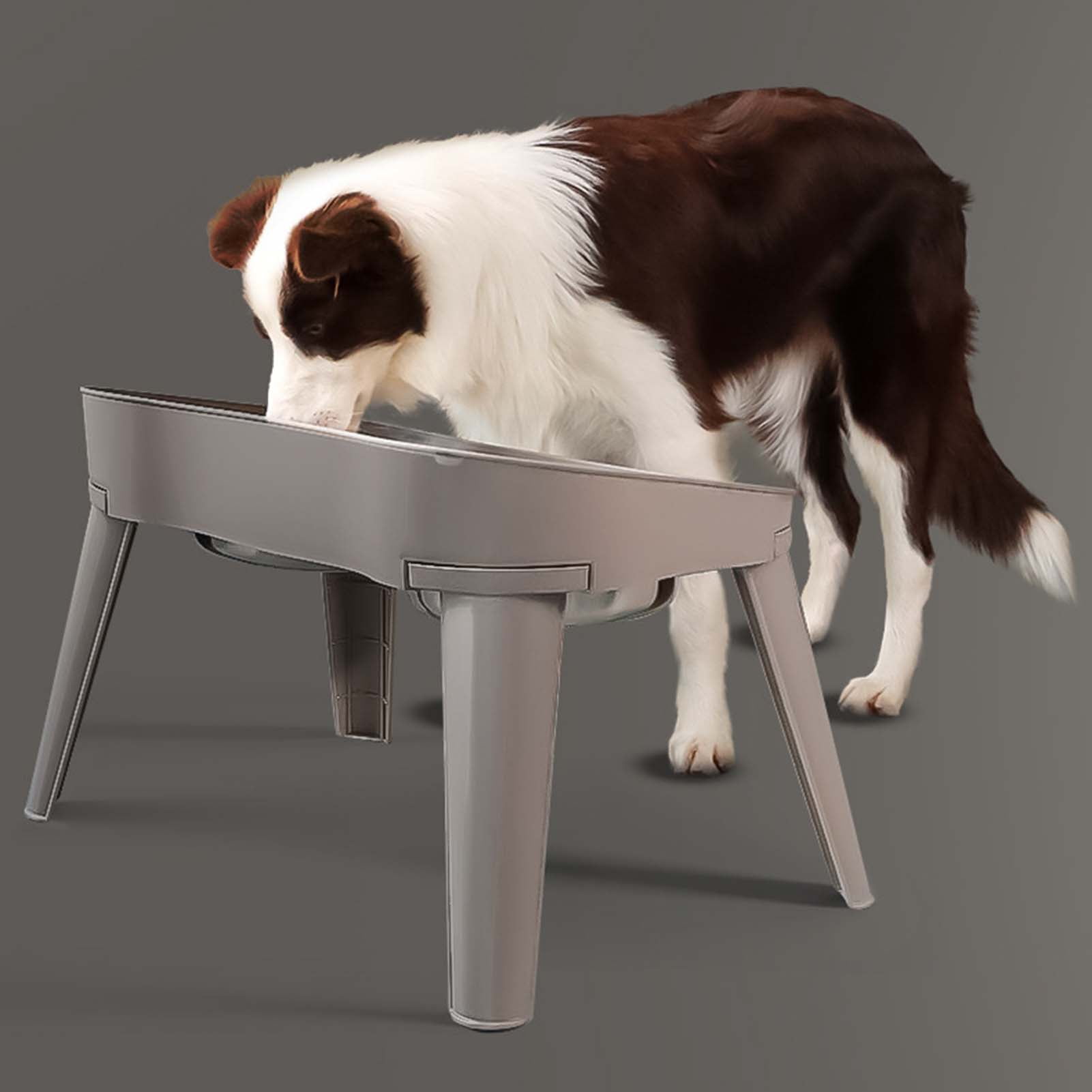 Elevated Dog Bowls for Large Dogs, Slow Feeder Dog Food and Water Bowls for Dogs No Spilling, Plastic Raised Dog Bowls with Stand for Medium Dog, Cats and Pets （L）