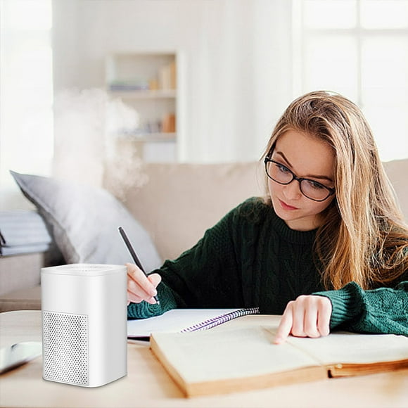 AirPurifiers For Bedroom Filter With Sleep Model 24db Filtration System Intake For Pet Dander Allergie