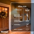 thumbnail image 6 of Bulbrite Pack of (4) 4.5 Watt Dimmable Clear Filament ST18 Medium (E26) LED Light Bulb - 450 Lumens, 2700K, 6 of 8