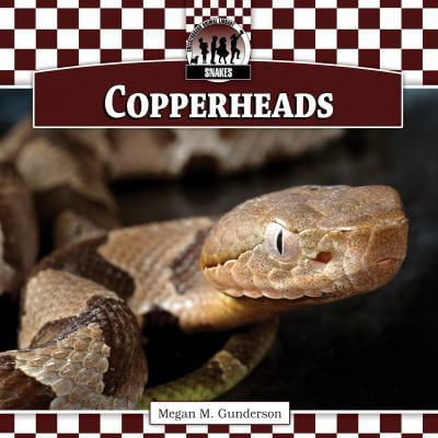 Pre-Owned Copperheads (Library Binding) 1616134348 9781616134341
