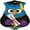 Blue Owl, variant on PMU Party Themes "Your Time To Shine" 40in Mylar-Foil Balloons (1/pkg) Pkg/1