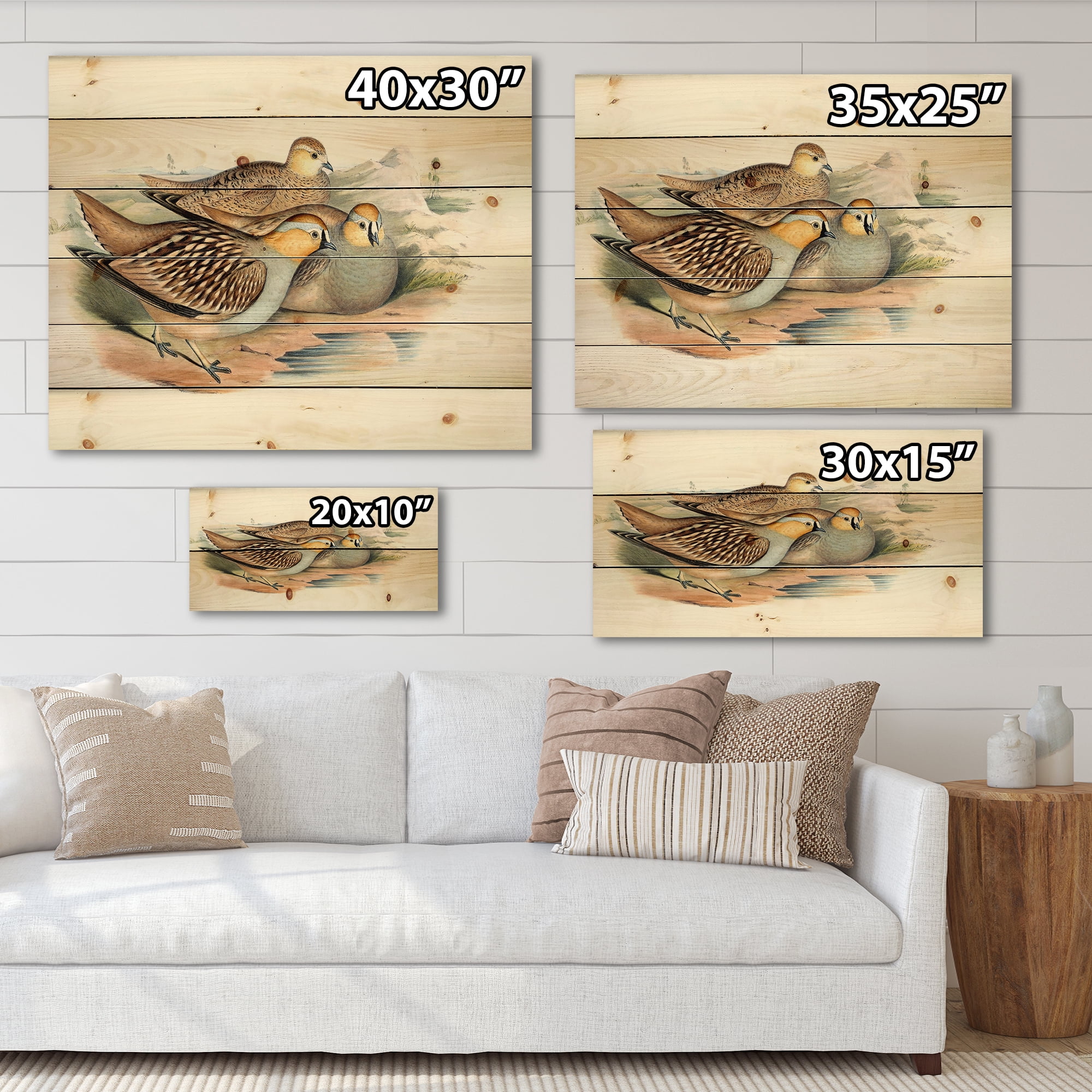 Designart 'Ancient Birds In The Wild III' Traditional Print on Natural Pine Wood
