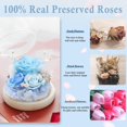 thumbnail image 4 of Rosa preservada FIACO Forever Fresh Flowers en cúpula de cristal, 4 of 6