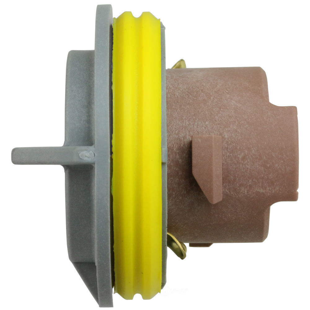 WVE Tail Light Socket