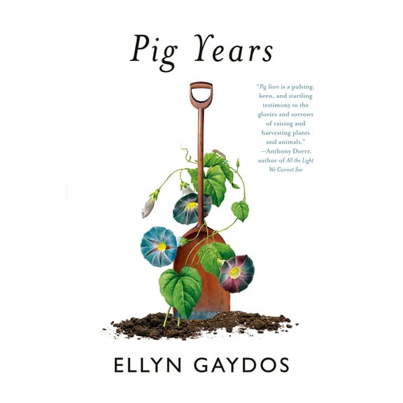 Pig Years, (Hardcover)