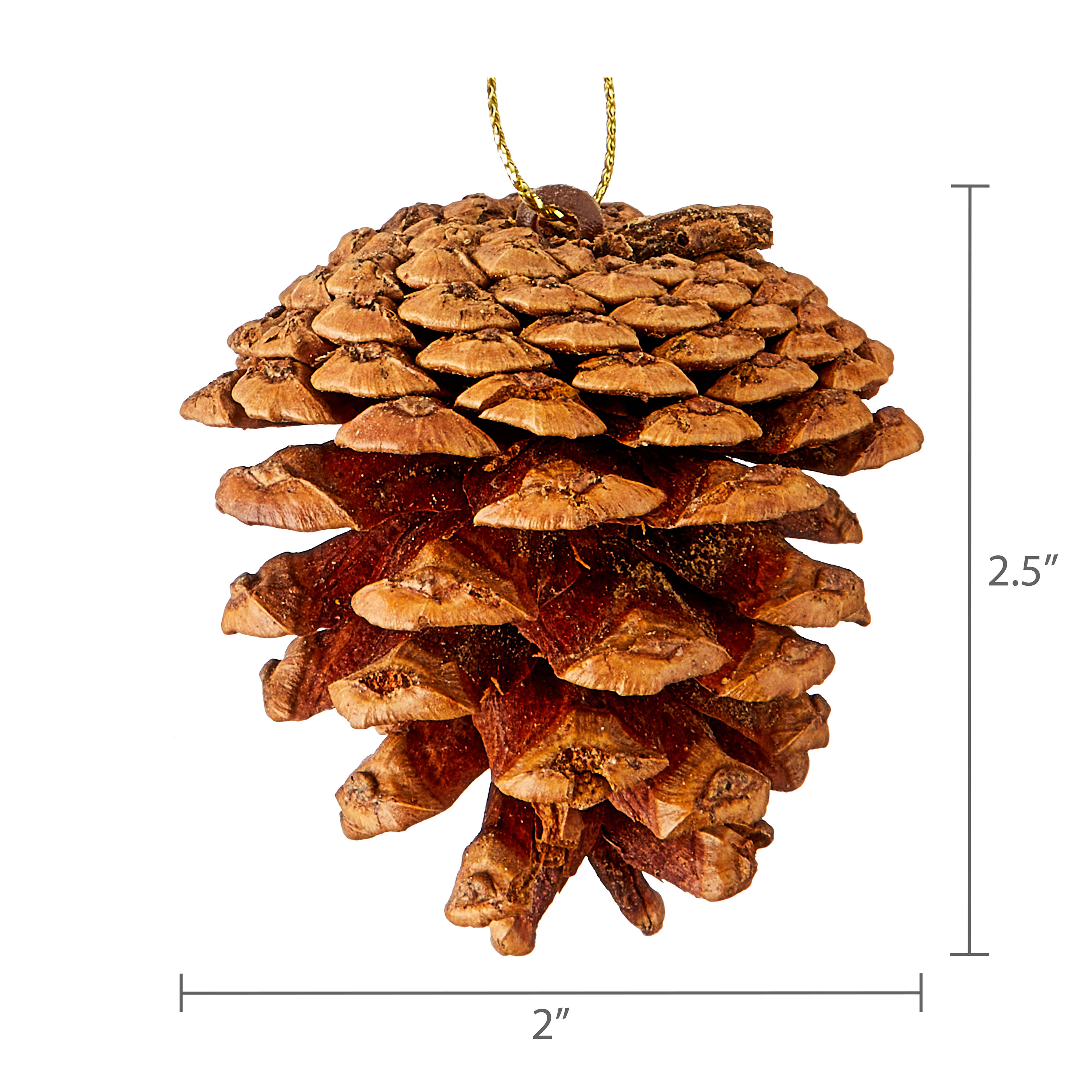 24 Count Natural Brown Pinecone Christmas Ornaments, Assorted Sizes, by Holiday Time