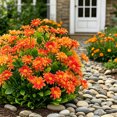 thumbnail image 4 of Outdoor Artificial Daisy Flowers UV Resistant Greenery Faux Shrub Bouquet for Hanging Planter Porch Garden Wedding Party Indoor Home Decor, 4 of 6