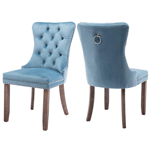 HUTWIFE Home Contemporary Velvet Dining Side Chairs, Blue (Set of 2)