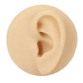 thumbnail image 2 of Modelo De Oreja Falsa, Observación Clara Modelo De Oreja Humana De Simulación De Oreja Izquierda Profesional Para Demostración De Enseñanza, 2 of 7