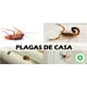 thumbnail image 3 of TIERRA DE DIATOMEA, 3 of 6