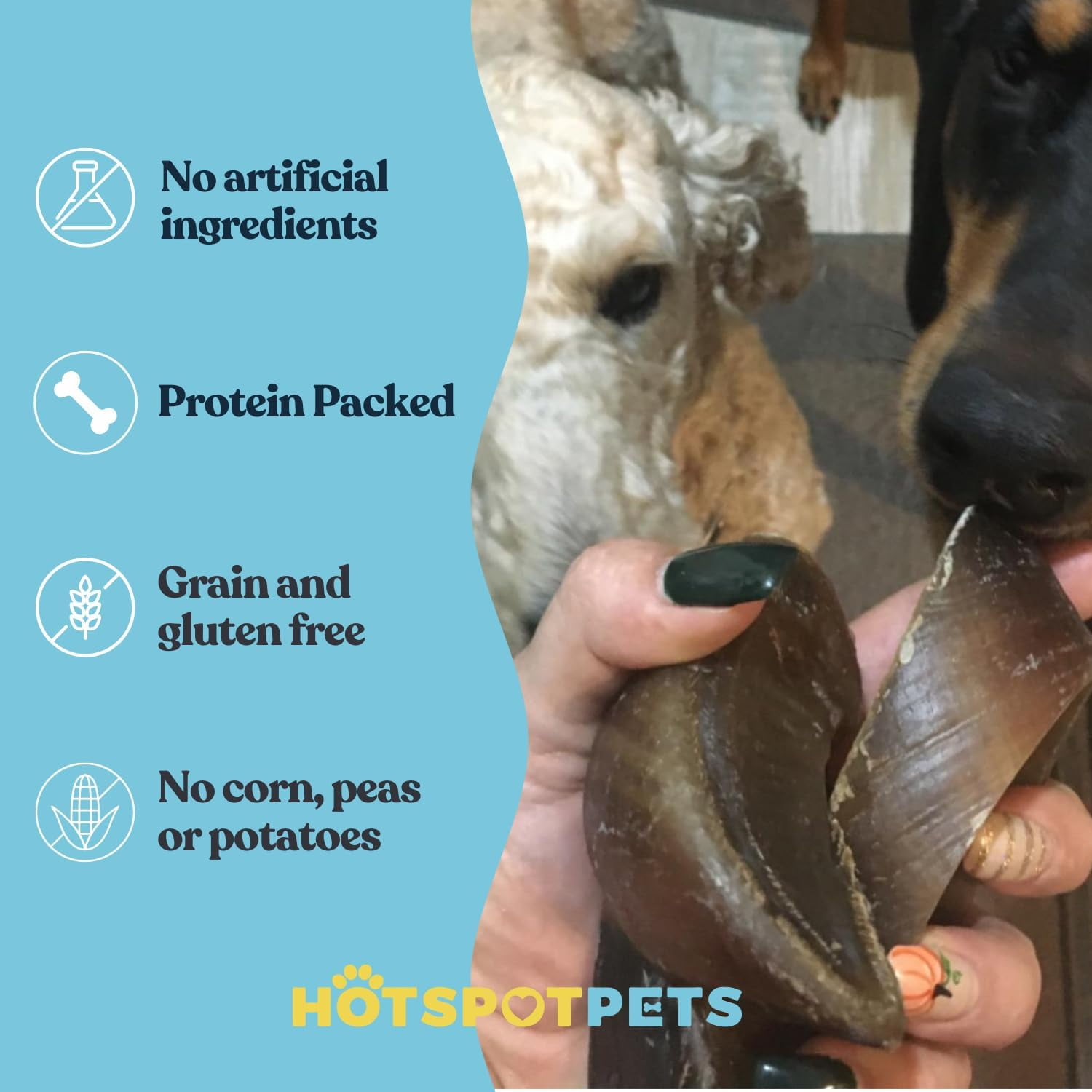 HotSpot Pets Natural Cow Hooves Dog Chews (25 Pack)