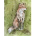 thumbnail image 2 of Varacek, Pam 15x18 Black Ornate Wood Framed with Double Matting Museum Art Print Titled - Fantastic Fox, 2 of 4