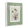 thumbnail image 2 of Stupell Industries French Country Vintage Foliage in Green White Framed Giclee Art, 16 x 20, by Carol Robinson, 2 of 8
