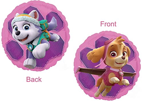 Skye and Everest 2nd Birthday Party Supplies Girl Paw Pups on Patrol Balloon Bouquet Decorations 12ct