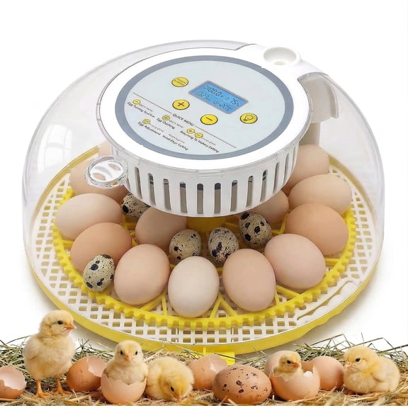 Adnoom Incubators for Hatching Eggs, 18 Egg Incubator with Automatic Egg Turner, Temperature&Humidity Control, Egg Candler&LED Display for Hatching Chickens, Duck, Quail