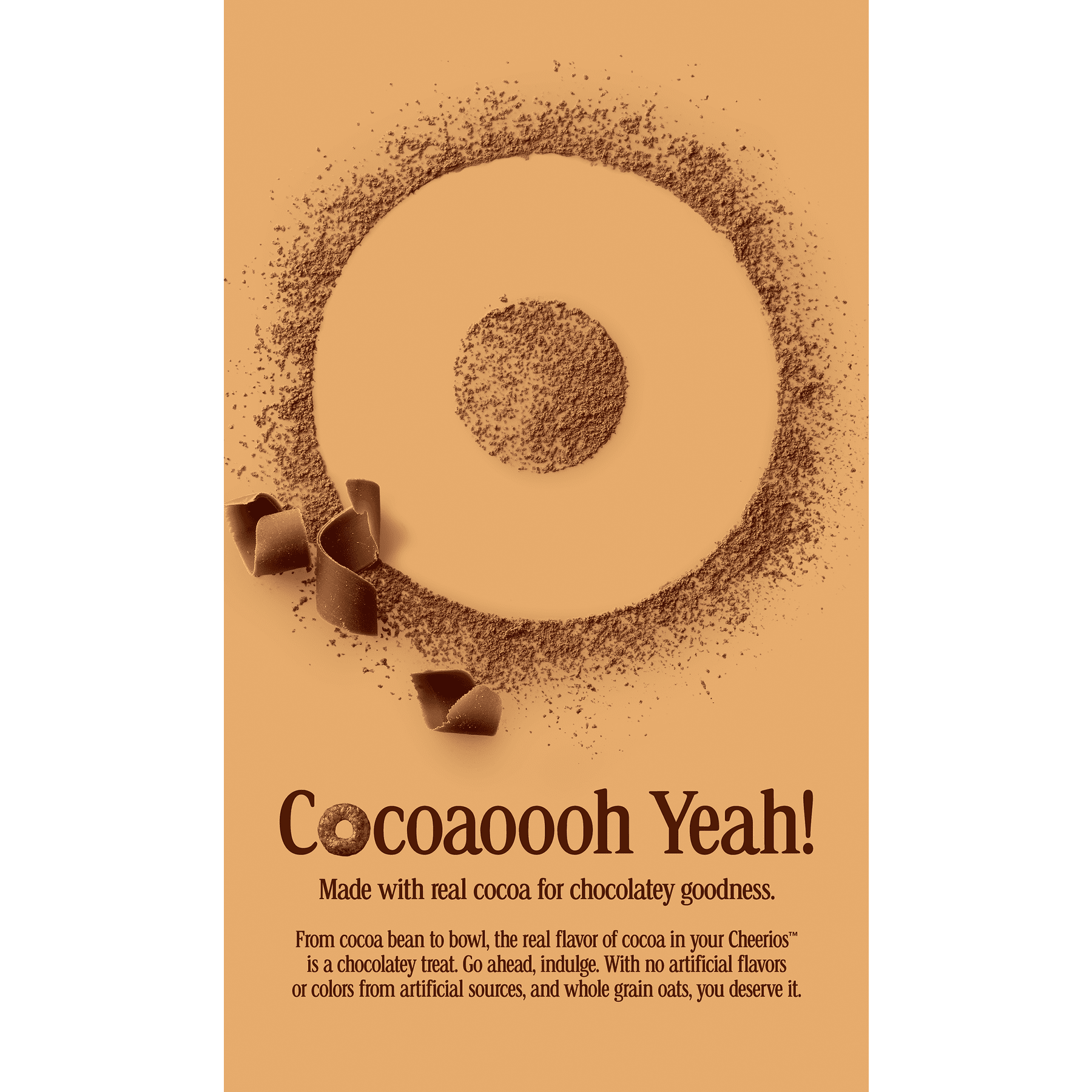 Chocolate Cheerios Gluten Free Breakfast Cereal, 22 oz