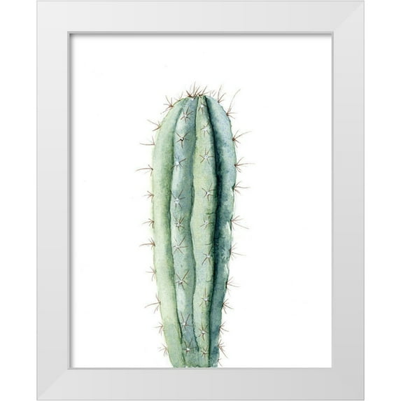 Shefranov, Olga 15x18 White Modern Wood Framed Museum Art Print Titled - Cactus IV