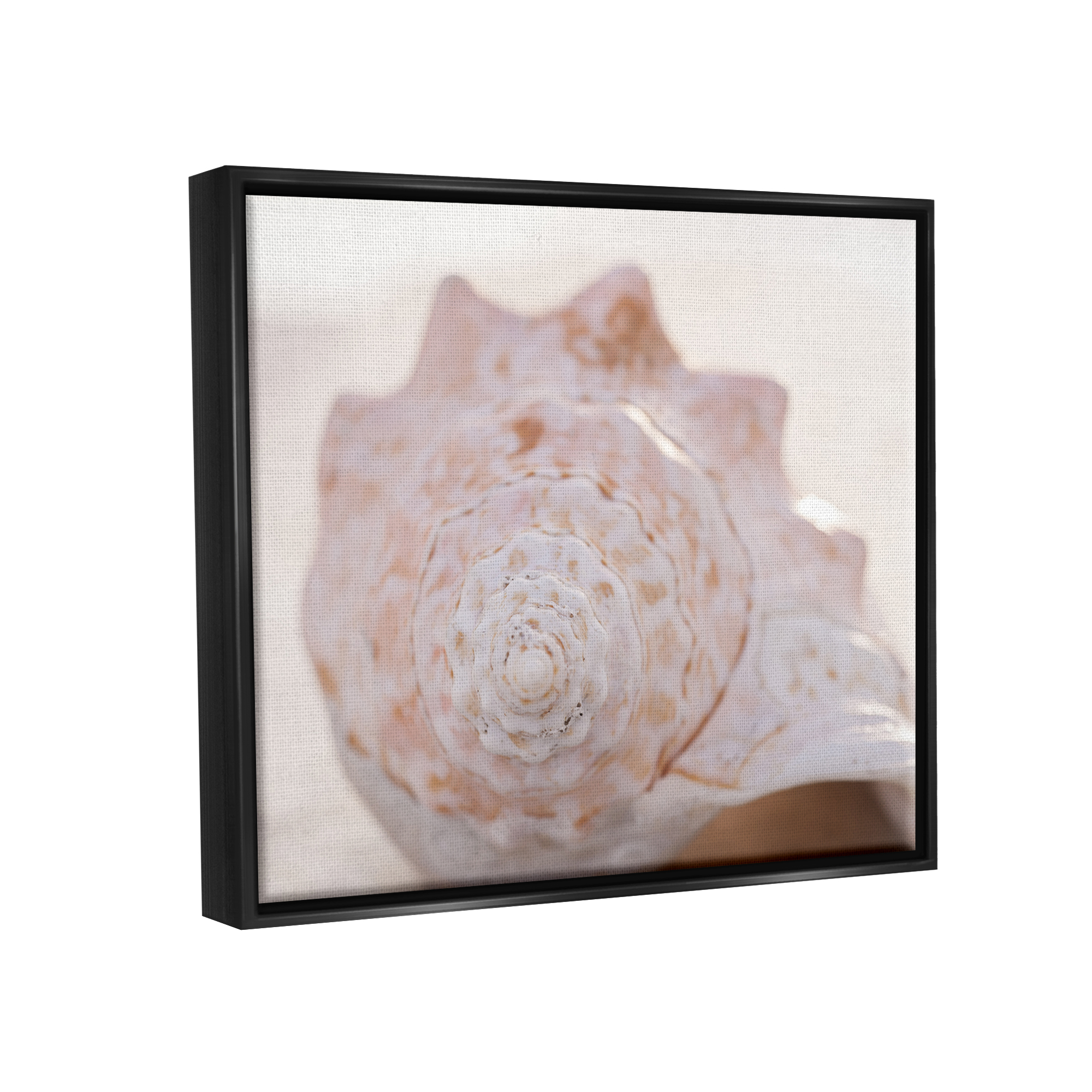 Stupell Beach Life Conch Shell Photography Landscape Photography Black Floater Framed Art Print Wall Art