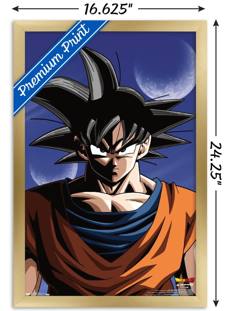 Dragon Ball Z - Goku Wall Poster, 14.725
