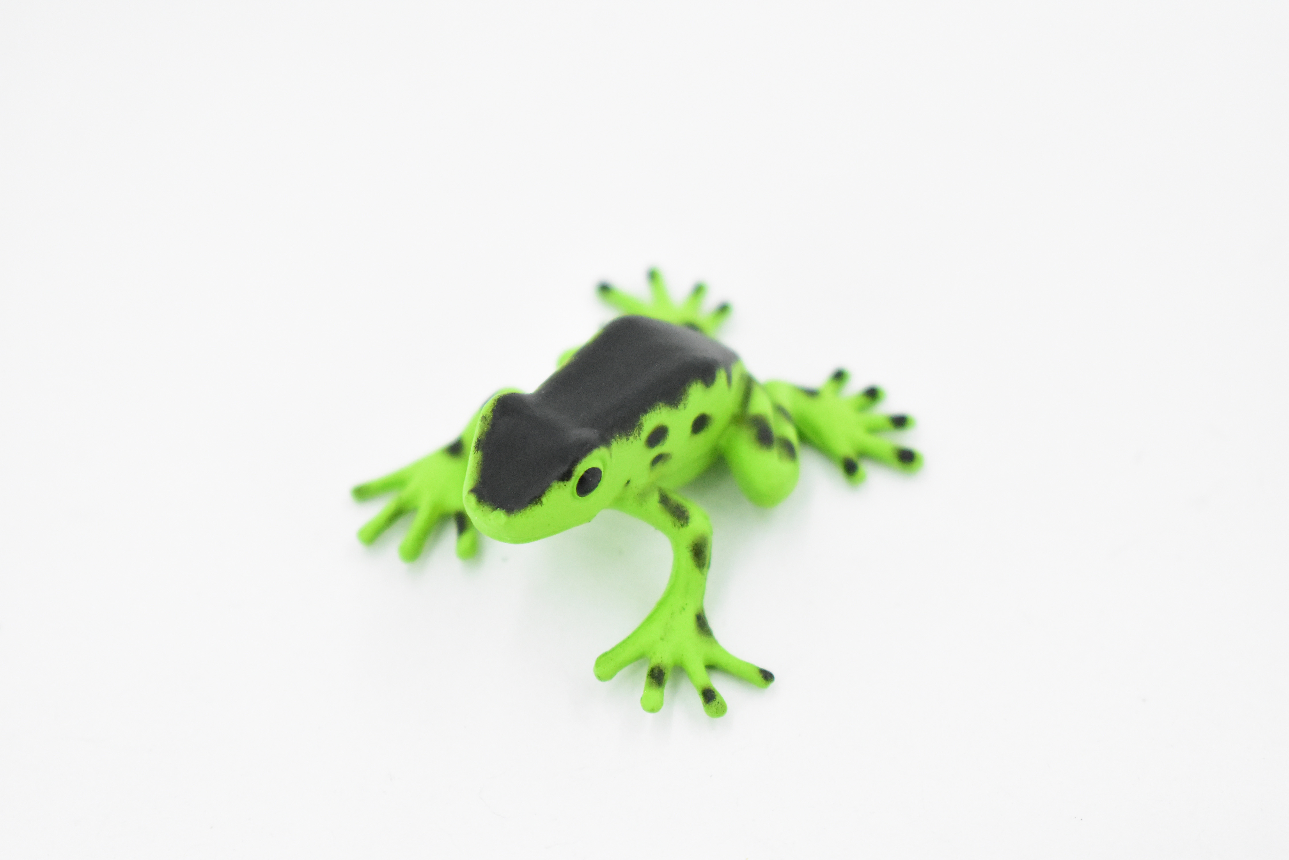 Poison Dart Frog Green and Black Plastic Toy Realistic Rainforest Figure  Model Replica Kids Educational Gift 2 F091 B43 