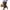 C Green, variant on DOKOTOO Linen Cotton Pants Women Casual Lightweight Drawstring Pants Elastic Waist Pants with Pockets Size M