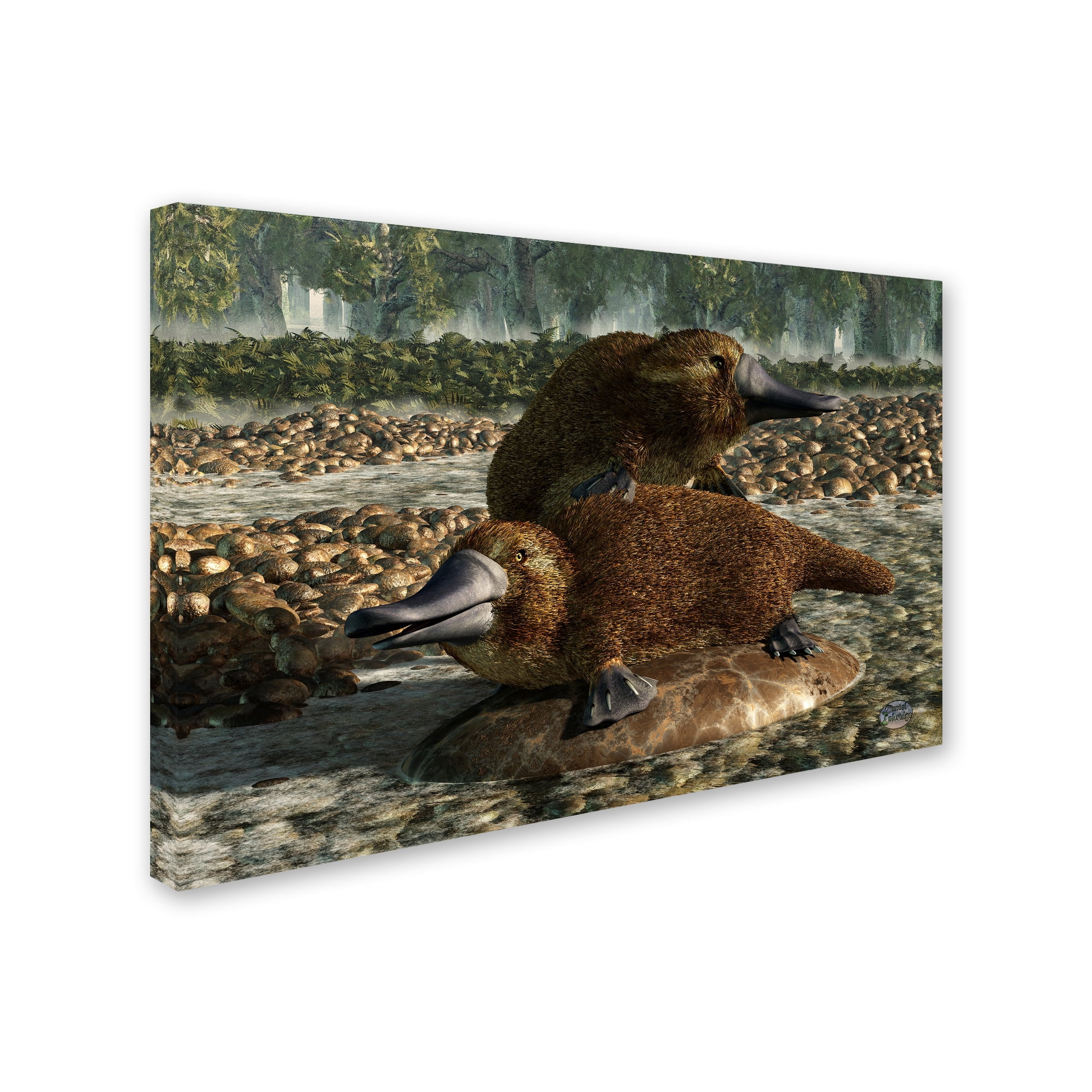 Trademark Fine Art 'Platypuses' Canvas Art by Daniel Eskridge
