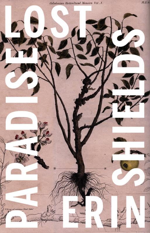 paradise lost book 2 paradise lost book 2