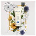 thumbnail image 3 of Crema hidratante de día Phyto 7 con 7 plantas 50 ml, 3 of 6