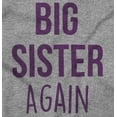 thumbnail image 2 of Big Sister Again Older Sibling Cute Bodysuit Jumper Girls Infant Baby Brisco Brands 18M, 2 of 6