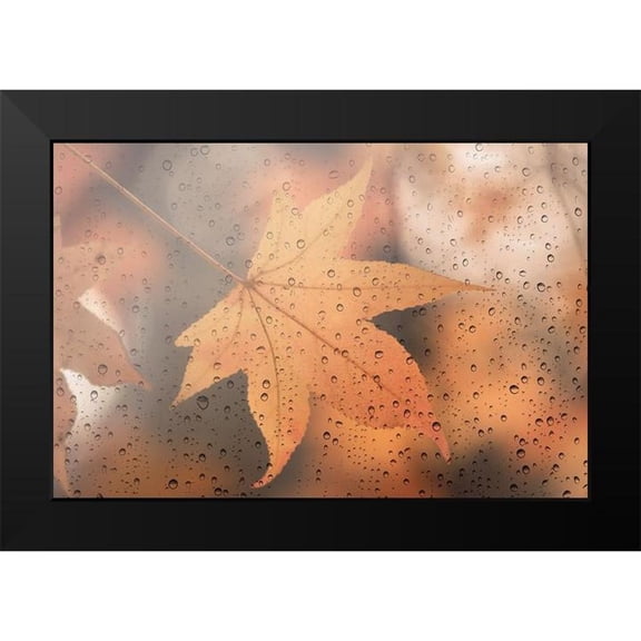 Lenka 14x11 Black Modern Framed Museum Art Print Titled - Melancholy