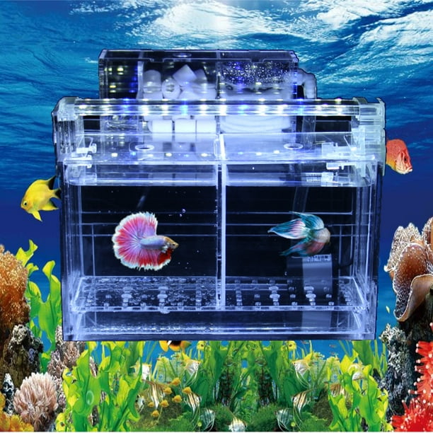 Betta fish water filter sales
