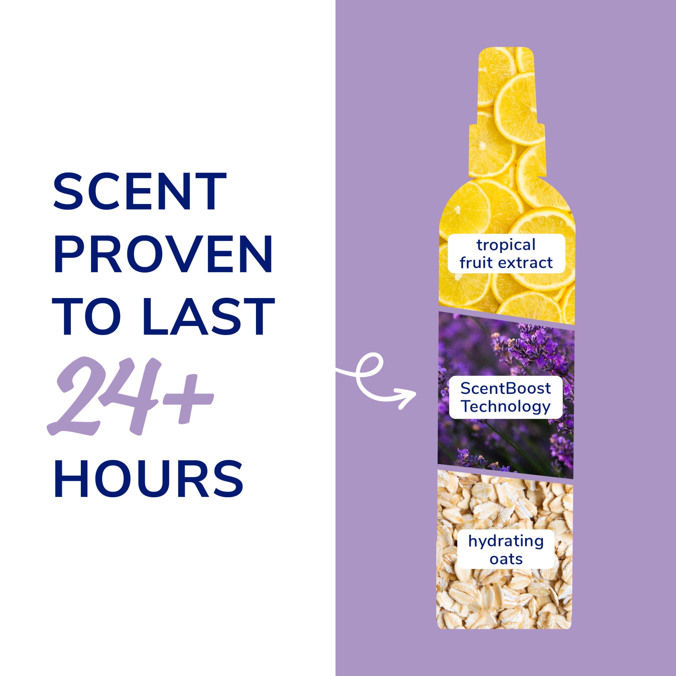 Naturel Promise Fresh & Soothing Lavender Escape Deodorizing Spray for Dogs, 8 fl oz