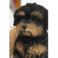 thumbnail image 4 of BABY CAVAPOO Noir & Beige, 4 of 4