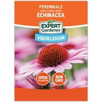 Expert Gardener Coneflower Purple Echinacea Flower