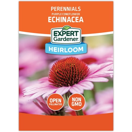 Expert Gardener Coneflower Purple Echinacea Flower
