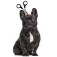 thumbnail image 1 of Tocado de perro y gato, accesorios de mago, tocado de Halloween para mascotas, sombrero divertido MFZFUKR s, 1 of 5