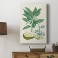 thumbnail image 5 of Buchoz Tropicals IV Premium Gallery Wrapped Canvas - Ready to Hang, 5 of 9