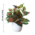 thumbnail image 3 of BKER Pot en Plastique Vert pour Décoration Intérieure et Extérieure Petit Pot Feuilles Rouges, 3 of 5
