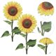 thumbnail image 4 of 2 estacas de girasol acrílicas para jardín, decoración de girasoles, estacas de flores, letreros de jardín, 4 of 7