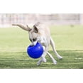 thumbnail image 2 of Jolly Pets Pelota de futbol Juguete de perro flotante que re Jolly Pets  Jolly Pets, 2 of 2