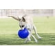 thumbnail image 2 of Jolly Pets Pelota de futbol Juguete de perro flotante que re Jolly Pets  Jolly Pets, 2 of 2